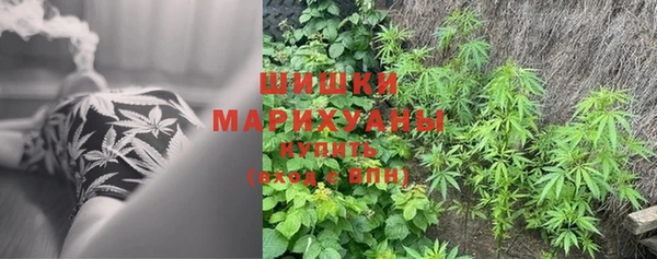 гидропоника Михайлов